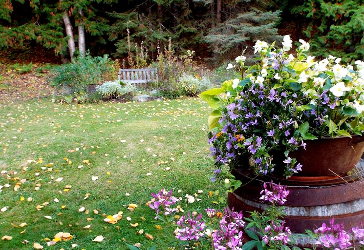 giardino in ottobre