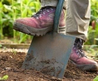 Lavori del mese giardino