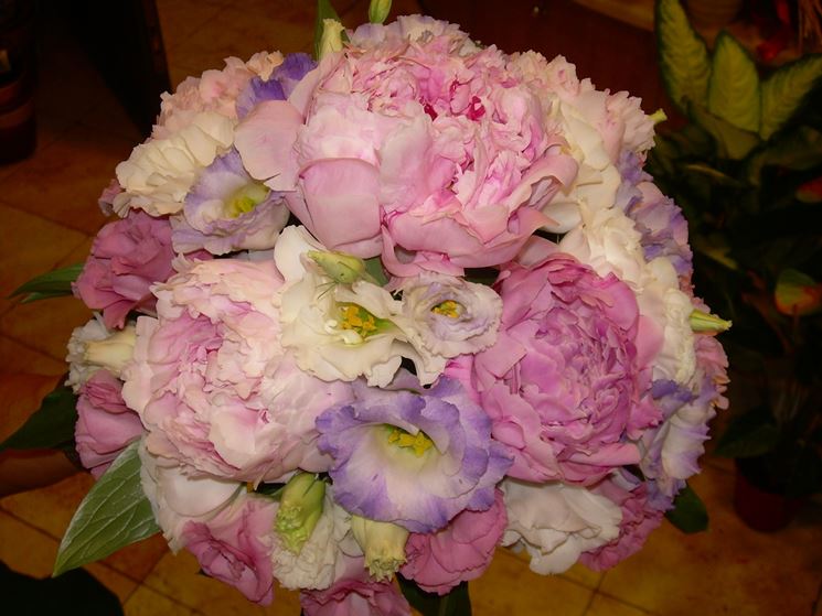 Bouquet contenente peonie