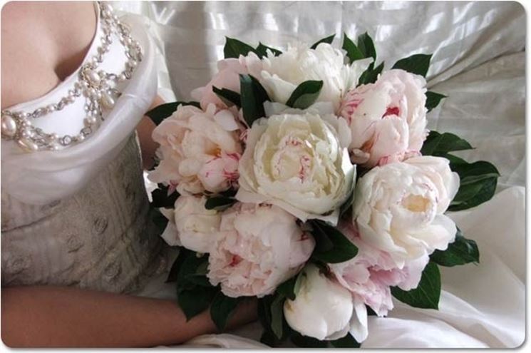 bouquet di peonie