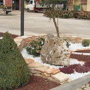 Allestire un giardino