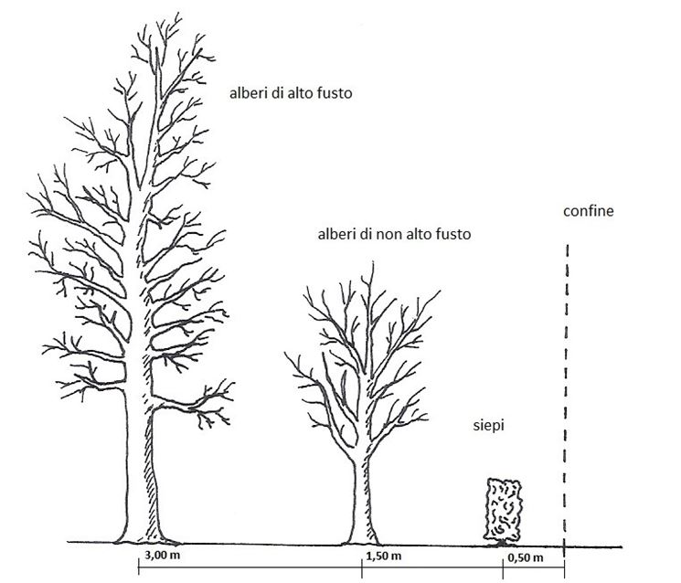 Le distanze dal confine, misurate in base alla tipologia di piantagione