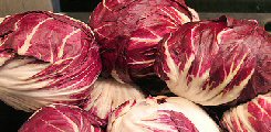 Radicchio