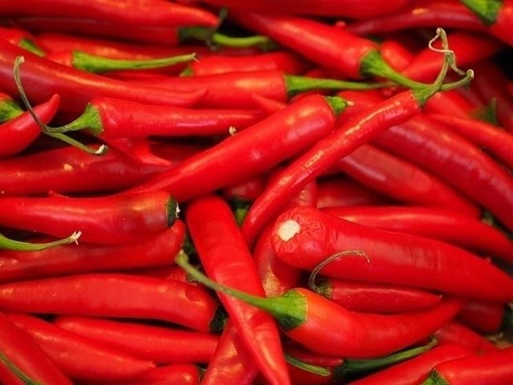 peperoncino