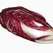 radicchio