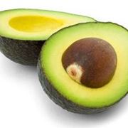 pianta avocado prezzo