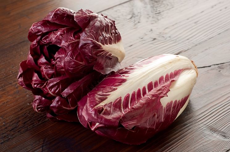 radicchio