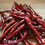 variet di peperoncini: peperoncino de Arbol