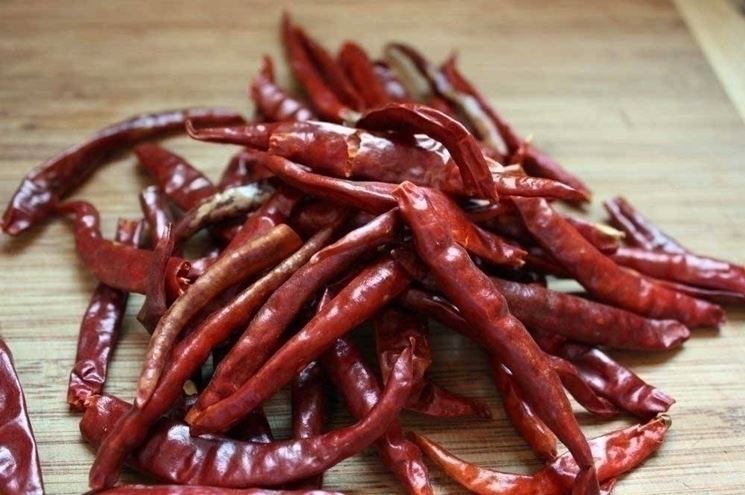 variet di peperoncini: peperoncino de Arbol