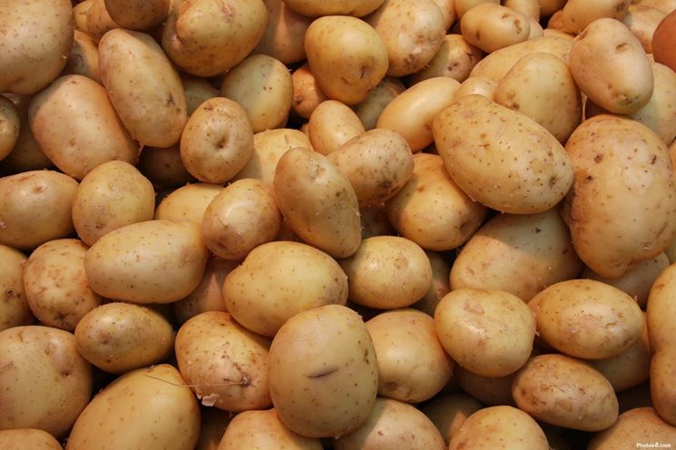 Raccolta delle patate