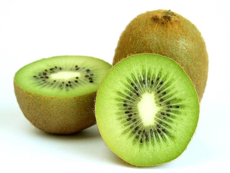 Fiori di kiwi
