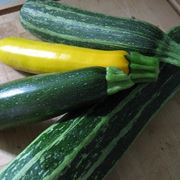 zucchine gialle