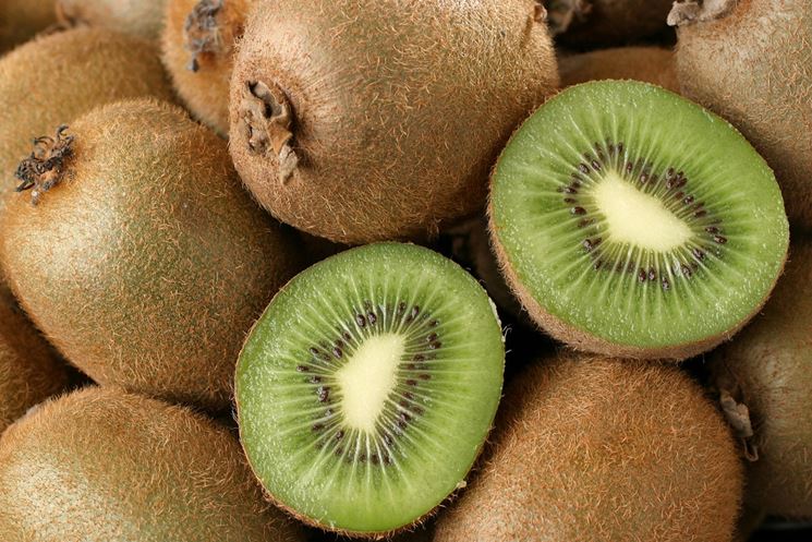 Frutto del kiwi