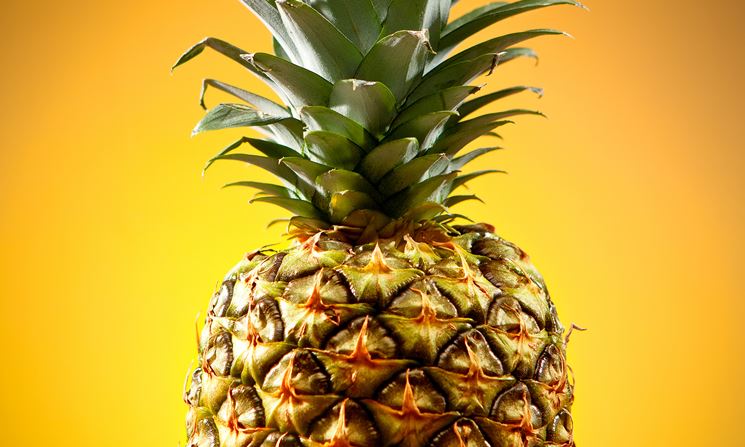 La parte del gambo d'ananas