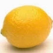 come innestare un limone