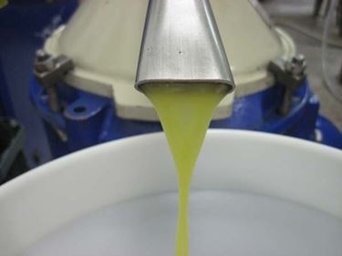 Olio di bianchera