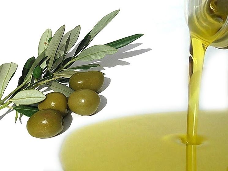 Olio in bottiglia