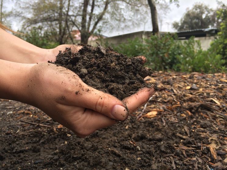 fertilizzanti biologici per orto