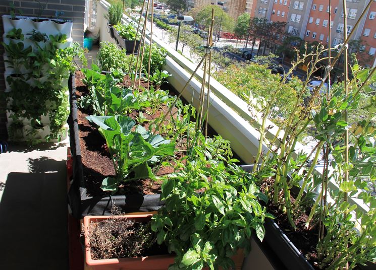 orto sul balcone