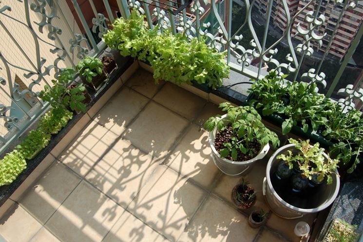 vasi per orto sul balcone