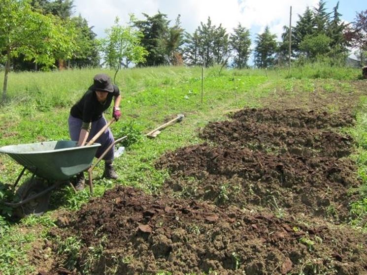 Orto sinergico con pacciamatura