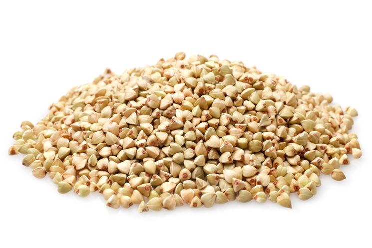 Fiori di grano saraceno