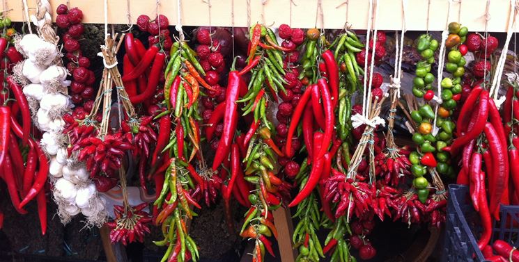 variet calabresi peperoncino