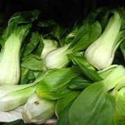 Pak choi