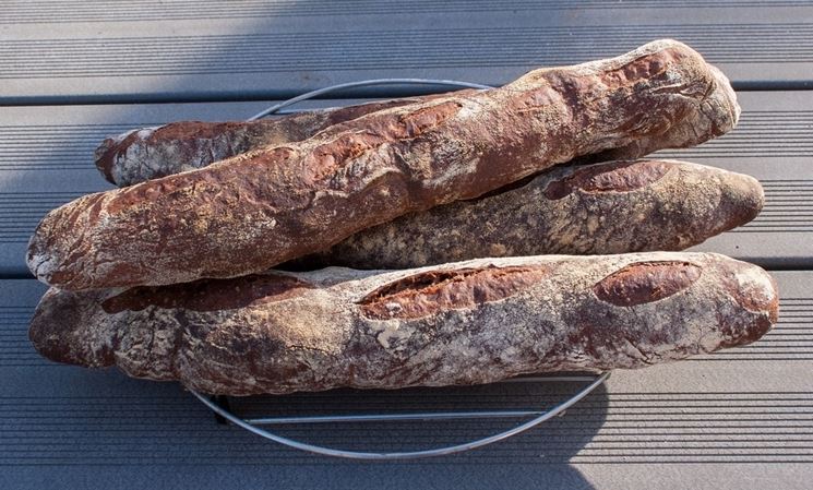 Pane preparato con la farina di semi d'uva