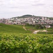 Spettacolari vigneti ad pernay