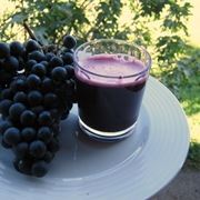 grappoli di uva da vino