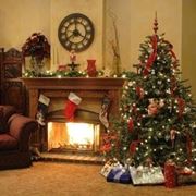 preparazione albero di natale