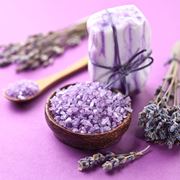 fiori di lavanda