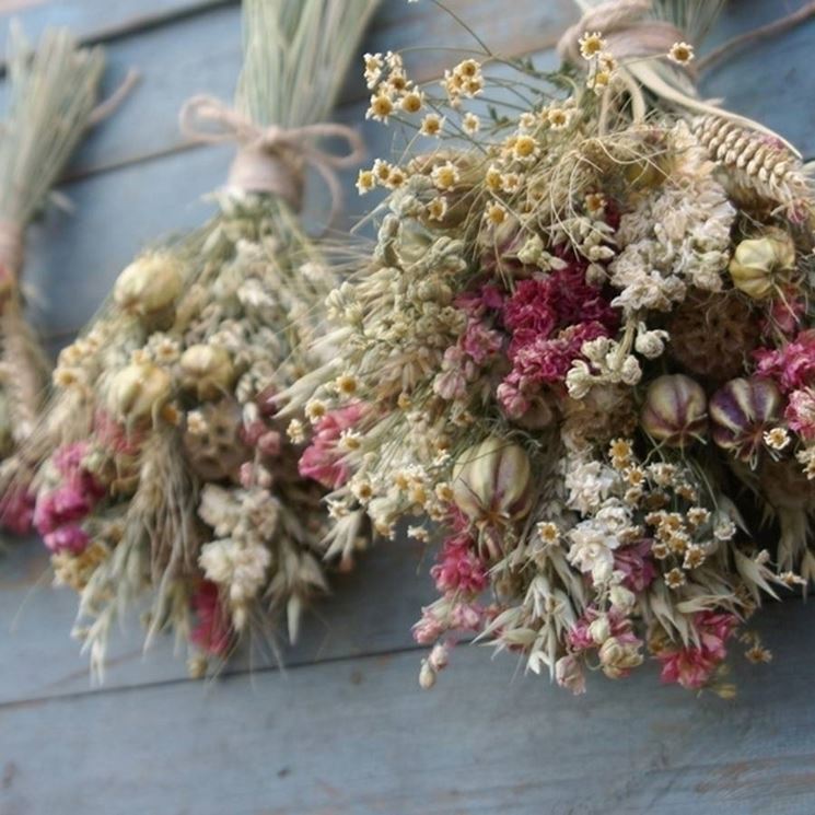 Decorazioni fiori secchi - Fiori secchi - Fiori secchi per composizioni