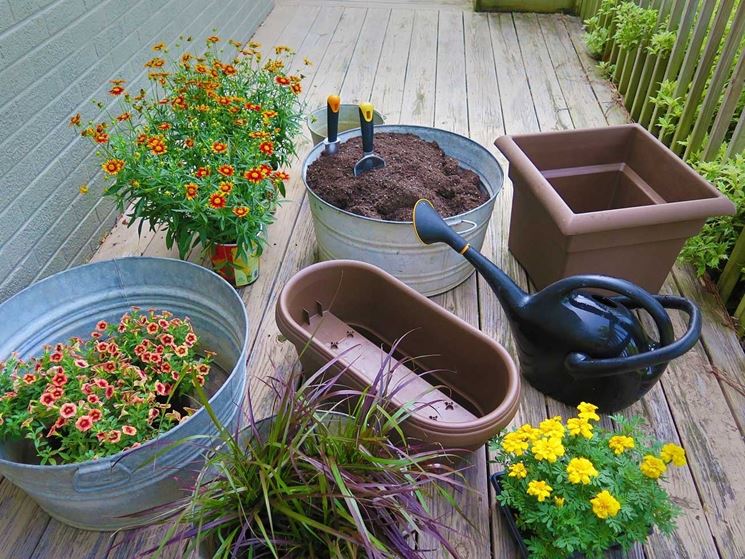 coltivare sul balcone