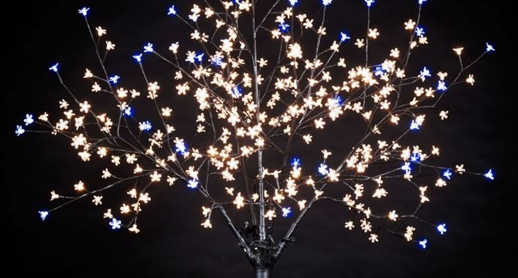 albero luminoso