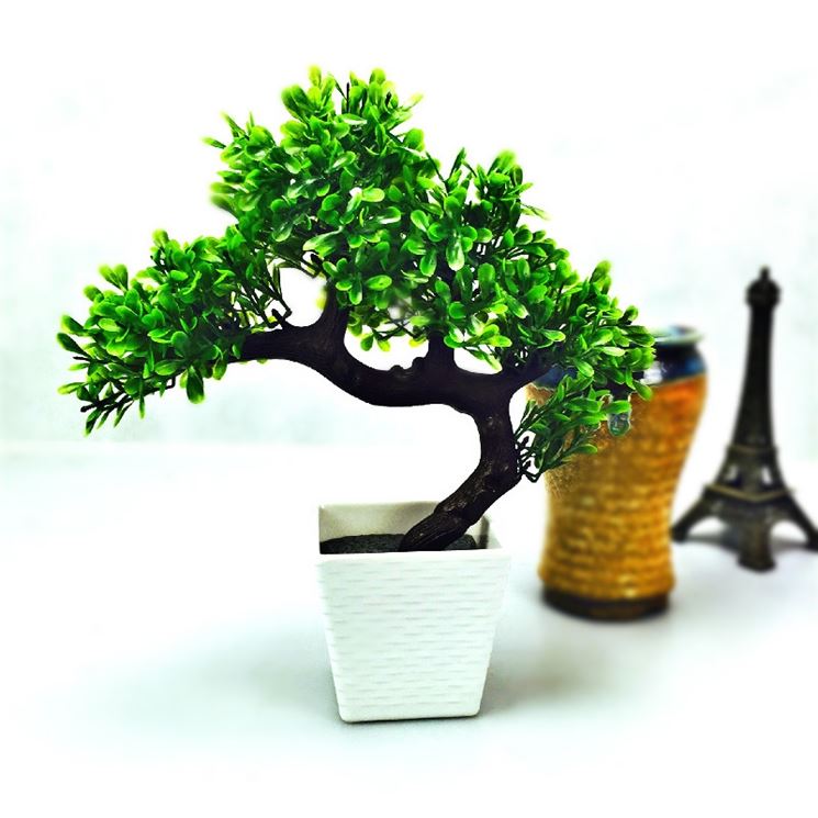 bonsai finto