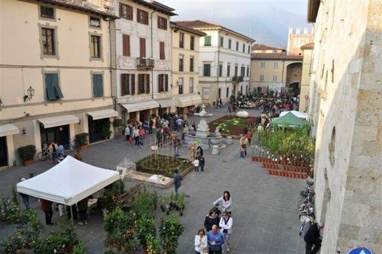 Festa degli orti Camaiore