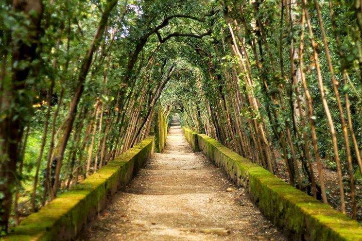 boboli parco