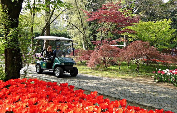 golf car