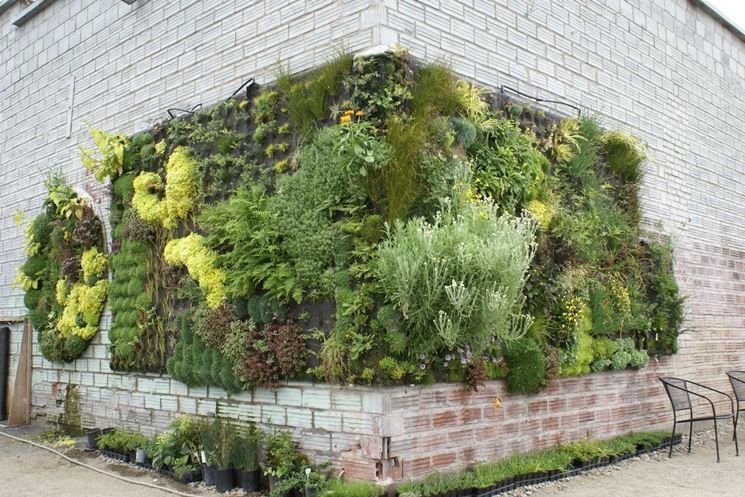 Cura e manutenzione del giardino verticale muri verticali Giardino in verticale