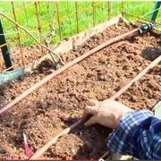 Irrigazione giardino verticale