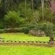 Piantare pali legno nel terreno Piantare pali legno nel terreno