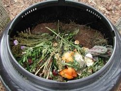 foto composter