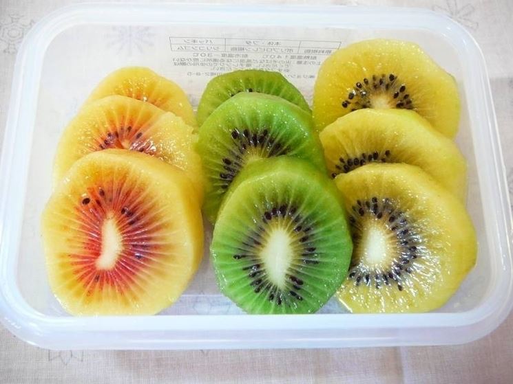 kiwi