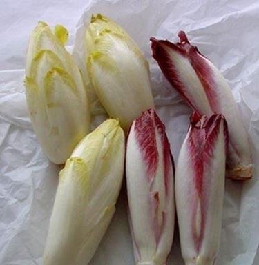 radicchio