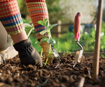 video giardino