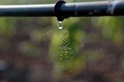 irrigazione alternativa