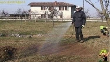 Preparare un terreno per la semina video semine preparare un ... Preparazione terreno per semina prato
